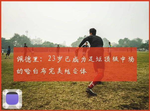 佩德里：23岁已成为足坛顶级中场的哈白布完美结合体