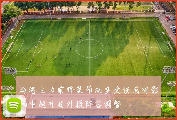 海港主力前锋莱昂纳多受伤或将影响中超开局外援阵容调整
