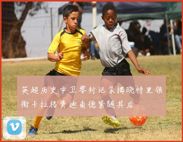 英超历史中卫零封记录揭晓特里领衔卡拉格费迪南德紧随其后